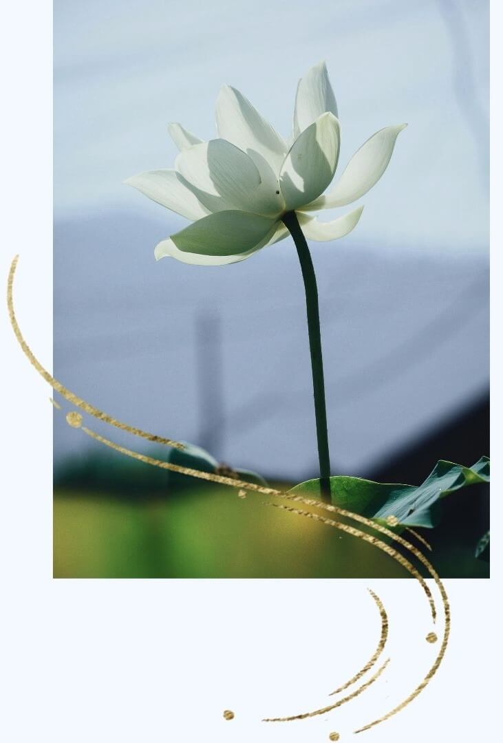 wind-of-change.love-premiumbegleitung