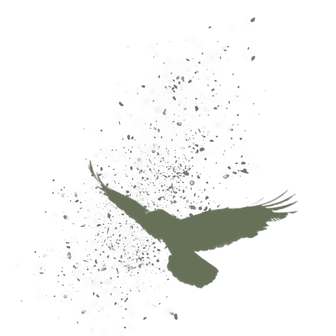 windofchange-glitzer-vogel